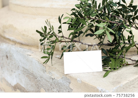 Empty business card, invitation mockup. Summer still life scene with green lentisk branch against old yellow shabby wall. Old exotic architecture. Birthday, wedding stationery closeup, no people. 75738256