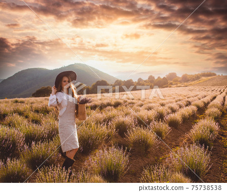 The extraordinary day on a lavender plantation 75738538
