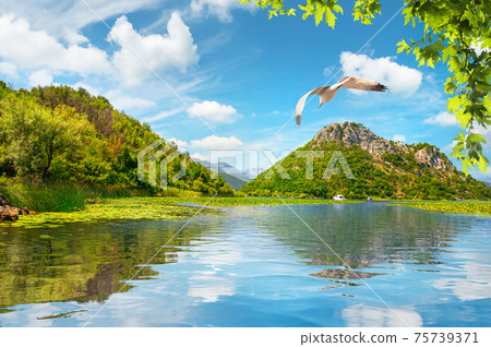 Skadar lake and mountains Skadar lake and mountains 75739371