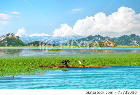 Mountains and Skadar lake 75739380