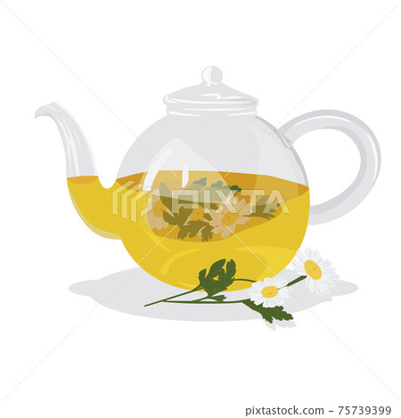 Chamomile tea vector stock illustration. Hot herbal drink in a teapot for colds. A soothing medical remedy. Isolated on a white background. 75739399