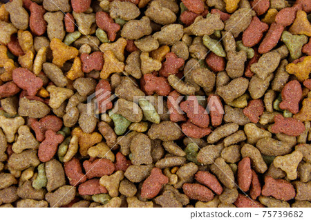 Dry food for cat or dog close-up. Pet food background 75739682
