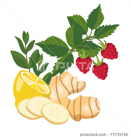 Lemon, ginger, mint, raspberry. Natural remedies, folk medicine 75739780