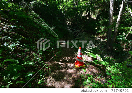 Scenery of Cape Todo on the Shigemo Peninsula Line in Iwate Prefecture Scenery of Cape Todo on the Shigemo Peninsula Line in Iwate Prefecture 75740791
