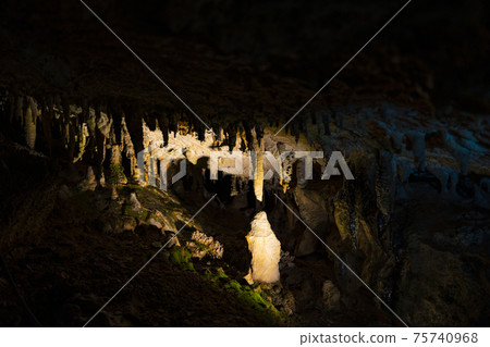 Togawa Onsen Monorail and Menfudou Limestone Cave Togawa Onsen Monorail and Menfudou Limestone Cave 75740968