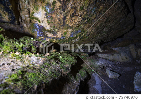 Togawa Onsen Monorail and Menfudou Limestone Cave Togawa Onsen Monorail and Menfudou Limestone Cave 75740970