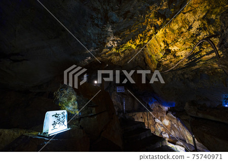 Togawa Onsen Monorail and Menfudou Limestone Cave Togawa Onsen Monorail and Menfudou Limestone Cave 75740971