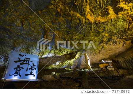 Togawa Onsen Monorail and Menfudou Limestone Cave Togawa Onsen Monorail and Menfudou Limestone Cave 75740972