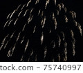 Fireworks 75740997