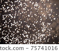 Fireworks 75741016