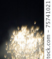 Fireworks 75741021
