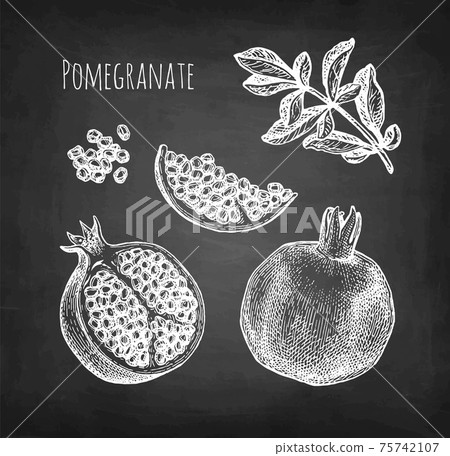 Pomegranate chalk sketch. Pomegranate chalk sketch. 75742107