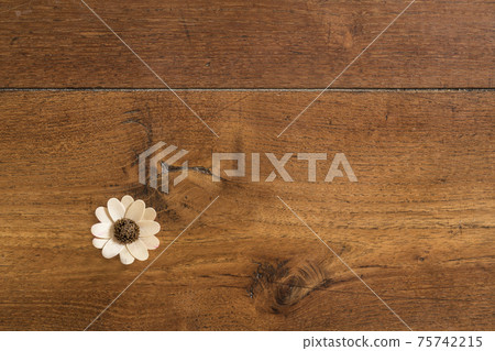 colorful dried flowers seen from above colorful dried flowers seen from above 75742215