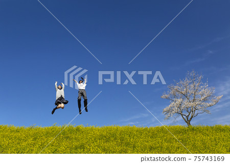 Male and female high school students jumping on the banks of rape blossoms and cherry blossoms. Spring, admission, celebration, graduation, passing image 75743169