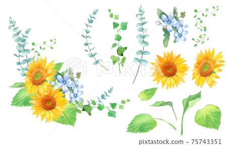 Frame decoration of sunflower and oxypetalum. Element set of watercolor illustrations. 75743351