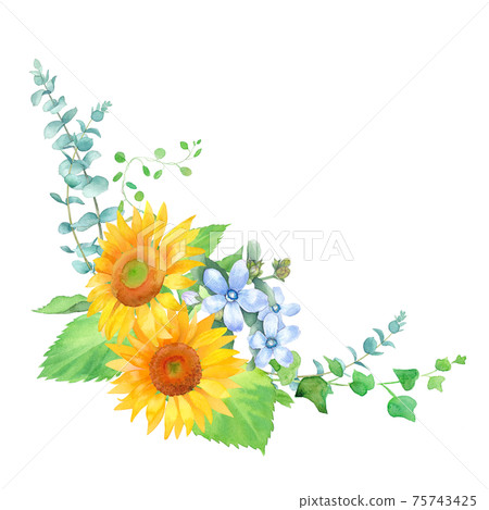 Frame decoration of sunflower and oxypetalum, watercolor illustration. 75743425