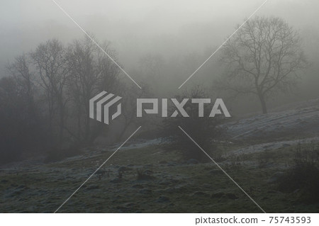 Winter in the Cotswolds 75743593