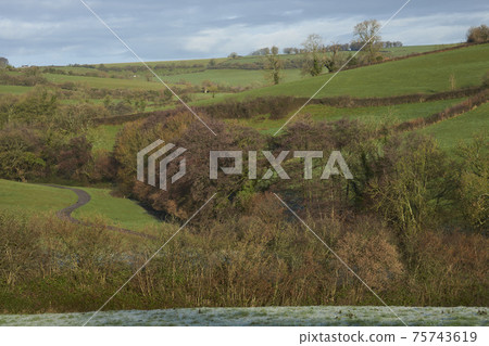 Winter in the Cotswolds Winter in the Cotswolds 75743619