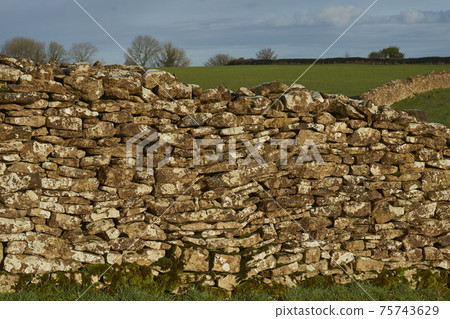 Dry stone walls in the Cotswolds Dry stone walls in the Cotswolds 75743629