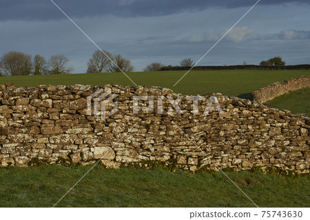 Dry stone walls in the Cotswolds 75743630