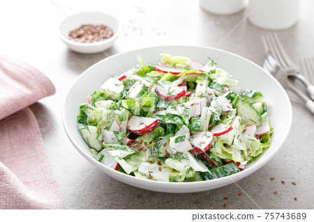 Fresh vegetable salad of green lettuce, radish and cucumber with dill, green onions and greek yogurt Fresh vegetable salad of green lettuce, radish and cucumber with dill, green onions and greek yogurt 75743689