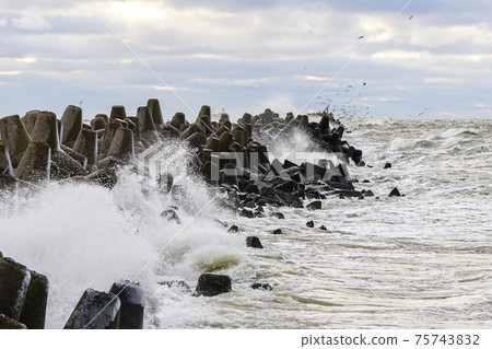 storm on the Baltic coast, waves hitting the breakwater concrete tetrapods 75743832