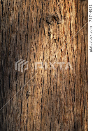 Beautiful natural tree bark pattern. Close up of a tree. Natural background Beautiful natural tree bark pattern. Close up of a tree. Natural background 75744981