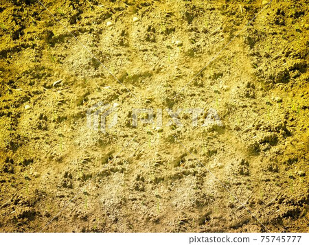 ground texture 75745777