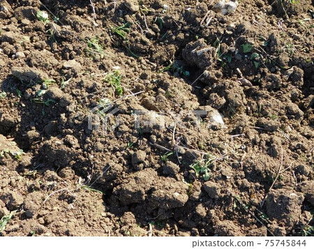 ground texture 75745844