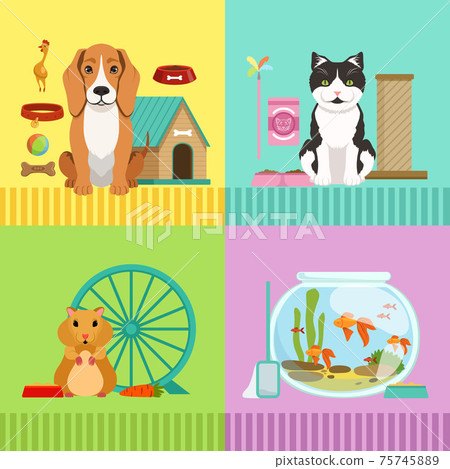 Conceptual illustrations of different pets. Dog, cat, hamster and fishes. Vet room pictures in cartoon style Conceptual illustrations of different pets. Dog, cat, hamster and fishes. Vet room pictures in cartoon style 75745889