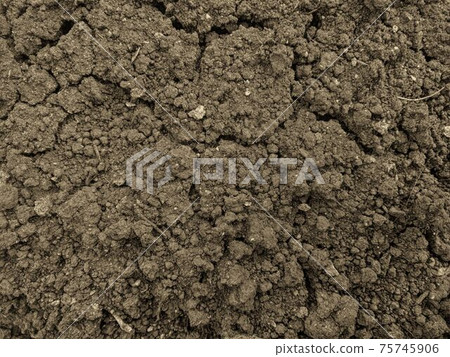 ground texture 75745906