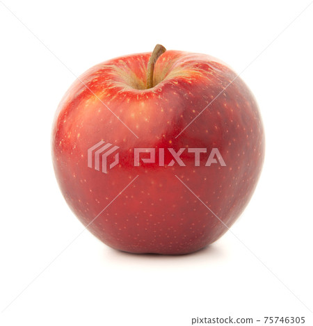 Red apple on a white background with a shadow. 75746305