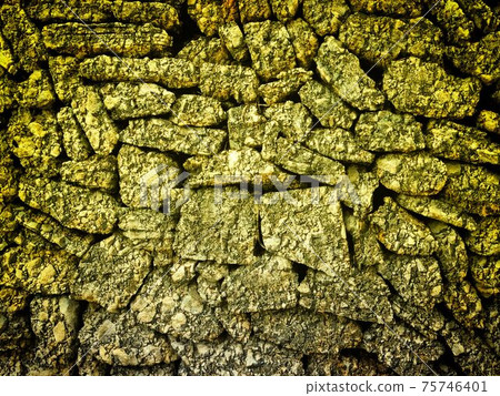 stone texture stone texture 75746401