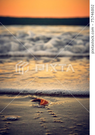 wave with foam at sunset 75746802