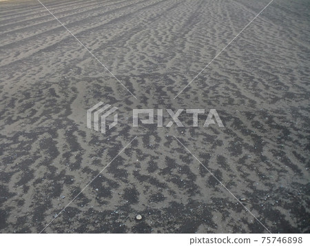 Patterns in the field Patterns in the field 75746898