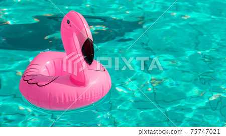 Summer fun beach. Pink inflatable flamingo in pool water for summer beach background. Funny bird toy for kids. 75747021