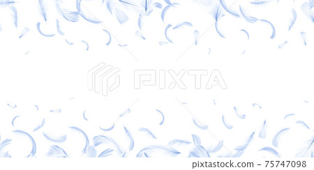 Feather fly. Nature abstract bird feather texture closeup isolated on white background for pattern wallpaper. Elegant expressive artistic image fragility of nature. Feather fly. Nature abstract bird feather texture closeup isolated on white background for pattern wallpaper. Elegant expressive artistic image fragility of nature. 75747098