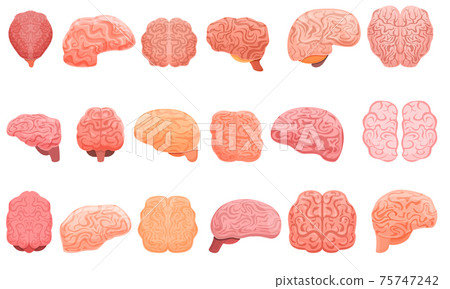 Human brain icons set, cartoon style 75747242