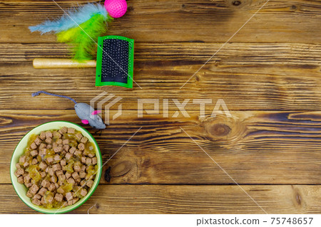 Canned cat food in bowl, cat toys and pet slicker brush on wooden background. Top view, copy space. Pet care concept Canned cat food in bowl, cat toys and pet slicker brush on wooden background. Top view, copy space. Pet care concept 75748657