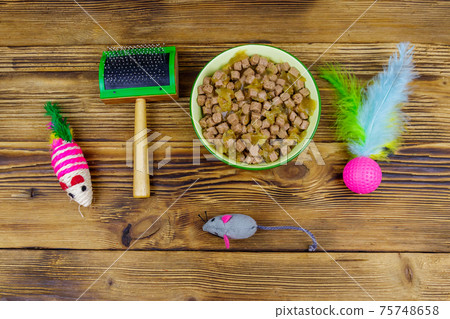 Canned cat food in bowl, cat toys and pet slicker brush on wooden background. Top view. Pet care concept Canned cat food in bowl, cat toys and pet slicker brush on wooden background. Top view. Pet care concept 75748658