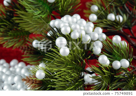 Fir tree and snow Fir tree and snow 75749891