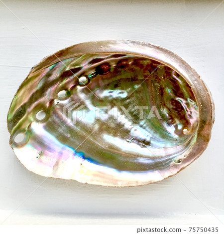 Tokobushi的內珍珠層 75750435