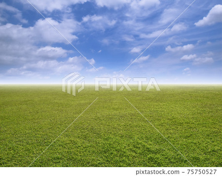 Fancy landscape, eternal lawn and blue sky Fancy landscape, eternal lawn and blue sky 75750527