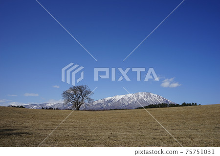 Mt. Iwate seen from Koiwai Farm 75751031
