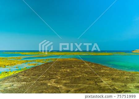 通往淺海的道路 通往淺海的道路 75751999