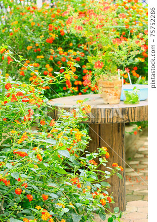 Moriyama Rose Herb Garden Moriyama Rose Herb Garden 75752286