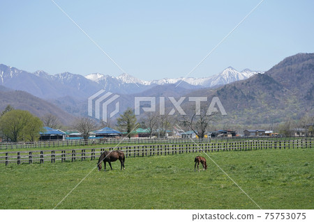 Spring ranch 75753075