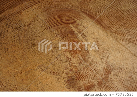 木紋年輪冷杉 75753555