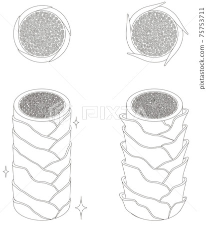 hair, cross-section, sectional 75753711
