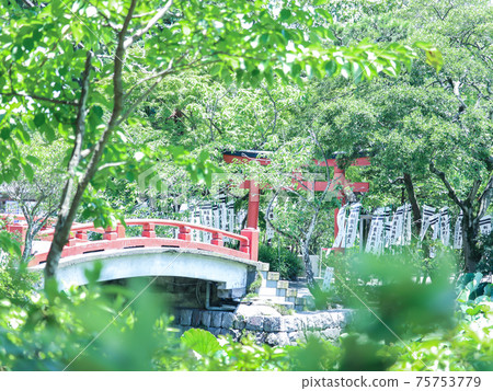 Fresh green Kamakura Fresh green Kamakura 75753779